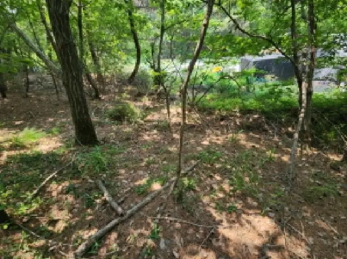 물건 사진 5