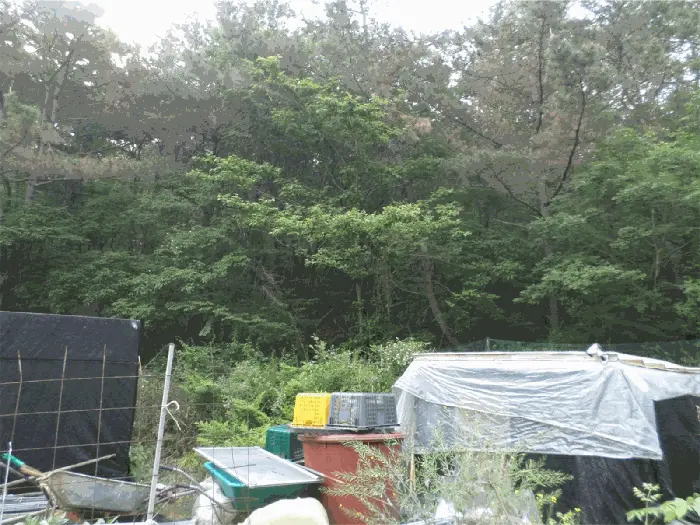 물건 사진 9