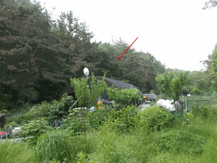 물건 사진 10