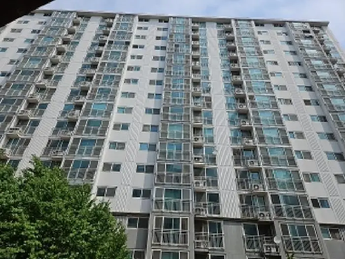 물건 사진 1