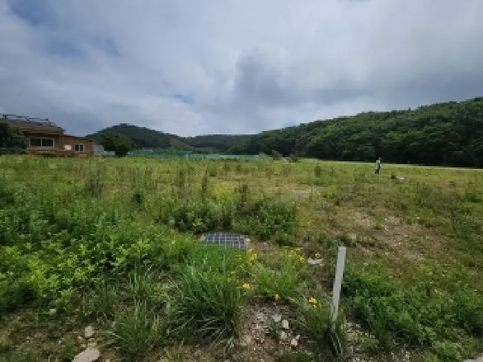 물건 사진 11
