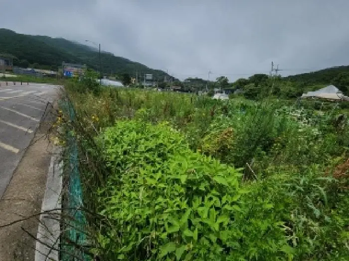 물건 사진 13