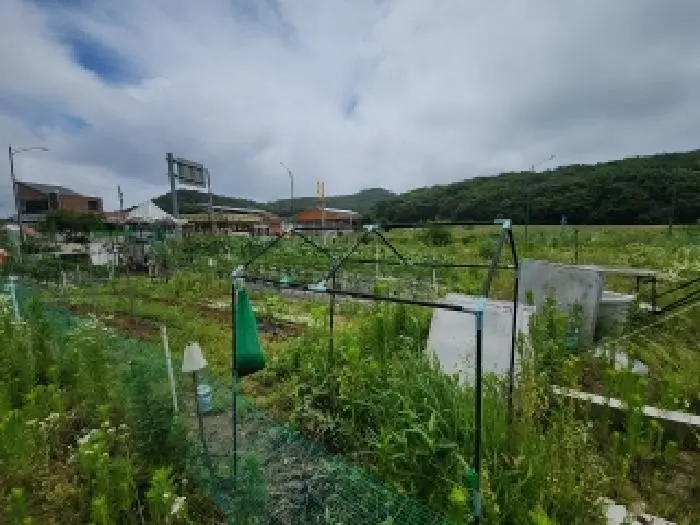 물건 사진 7