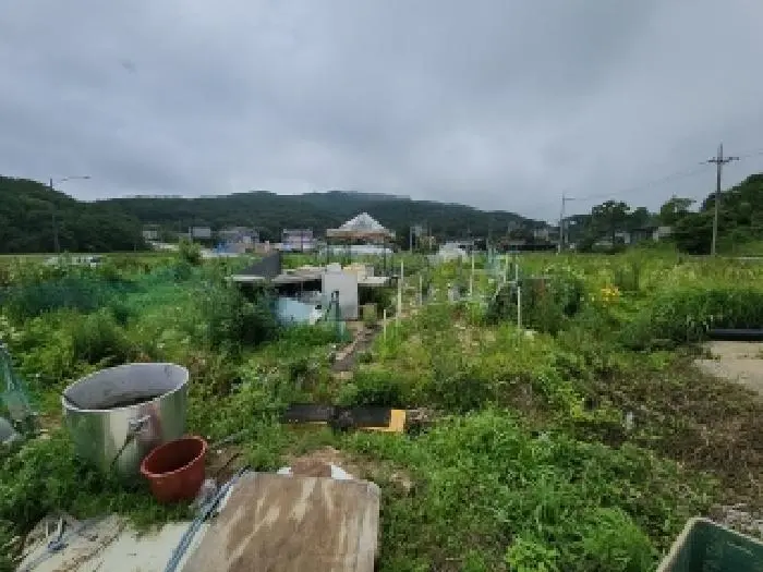 물건 사진 8