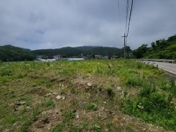 물건 사진 1