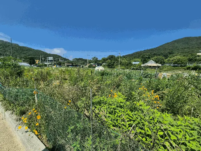 물건 사진 18