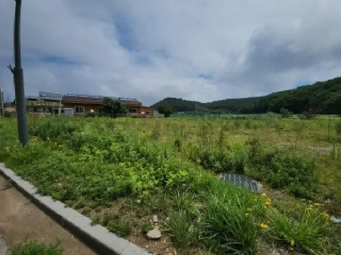물건 사진 10