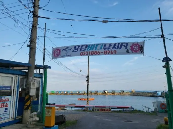 물건 사진 1