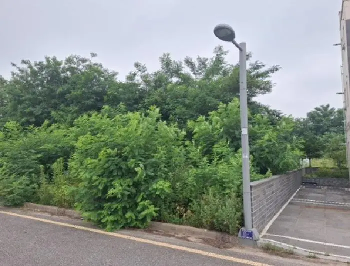 물건 사진 1