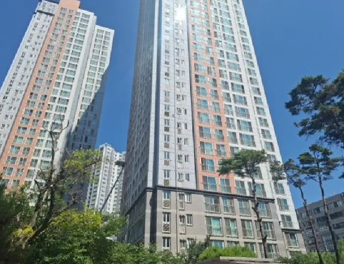 물건 사진 1