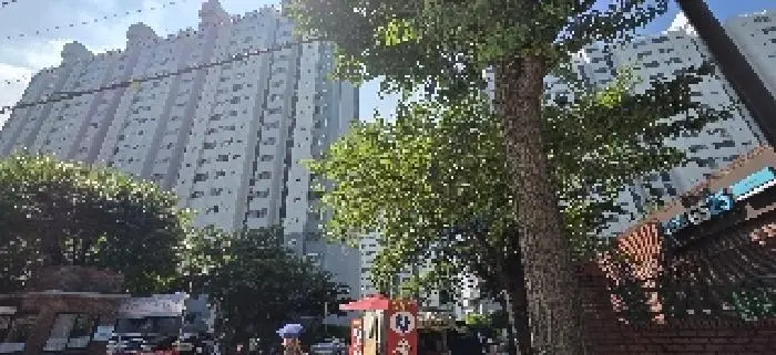 물건 사진 1