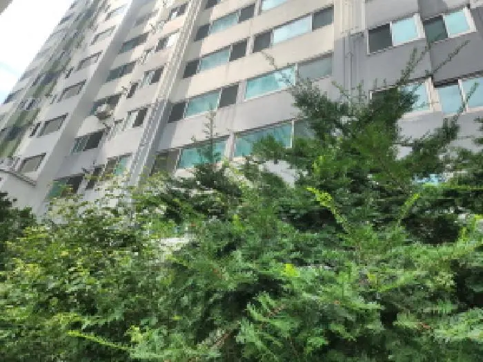 물건 사진 2