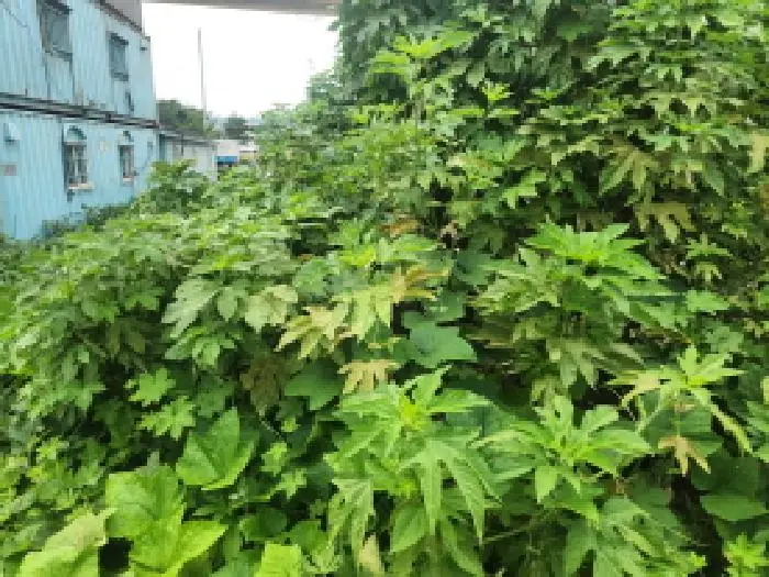 물건 사진 2
