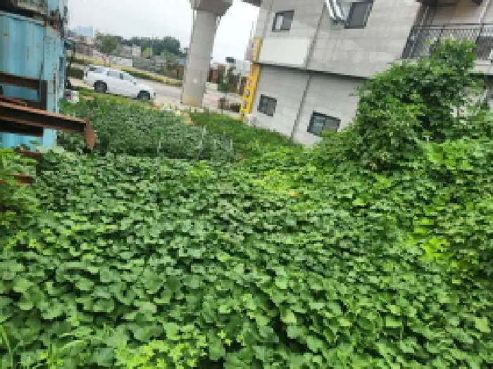물건 사진 4
