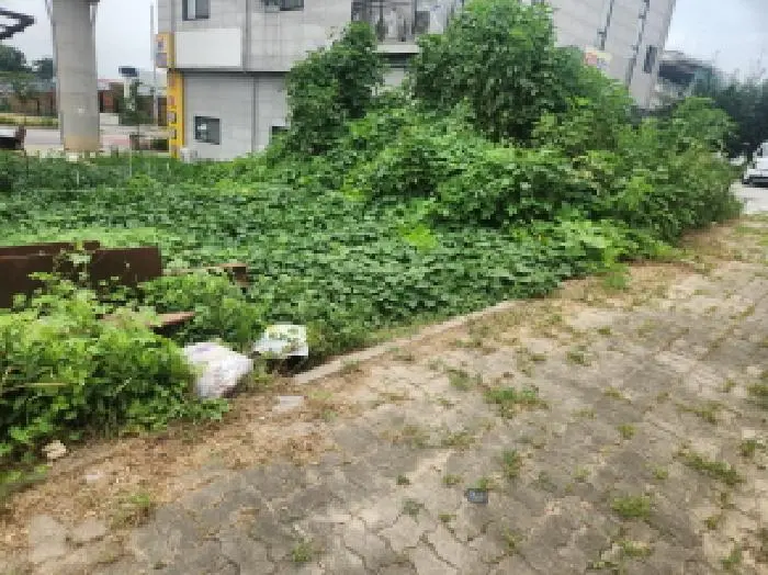 물건 사진 5
