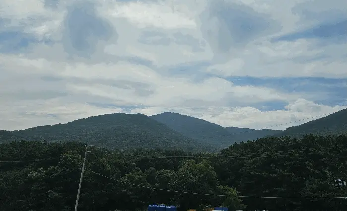 물건 사진 13