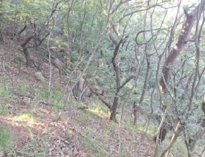 물건 사진 4