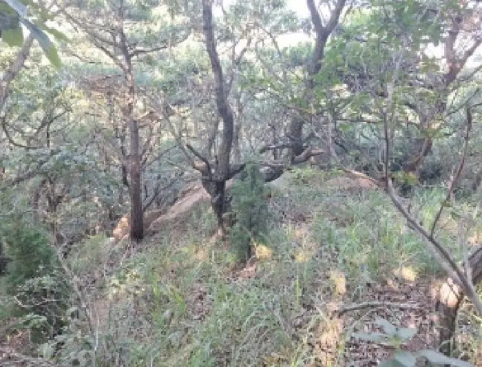 물건 사진 5