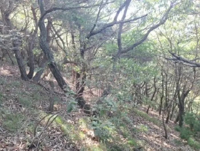 물건 사진 7