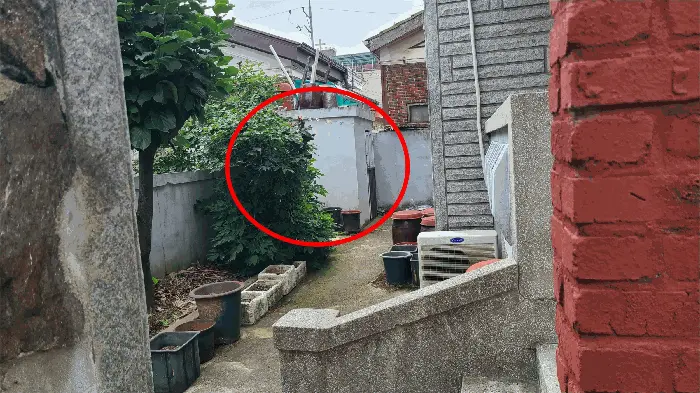 물건 사진 11