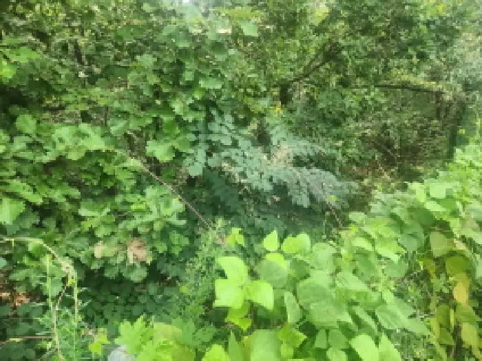 인천광역시 강화군 하점면