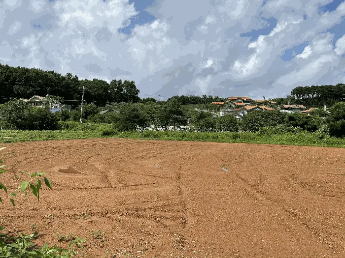 물건 사진 14
