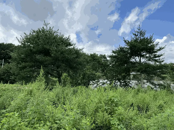 물건 사진 15