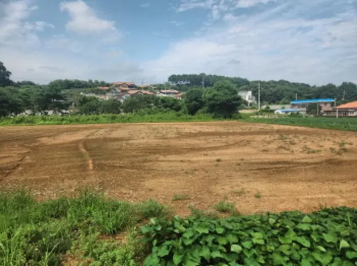 물건 사진 7