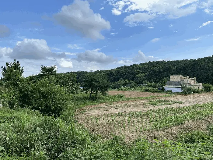물건 사진 10