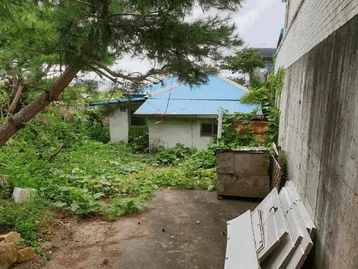 물건 사진 17