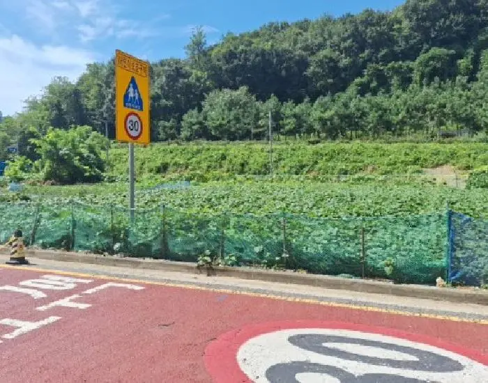 물건 사진 3