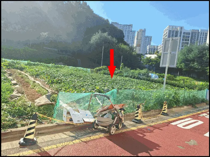 물건 사진 6