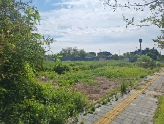 물건 사진 1