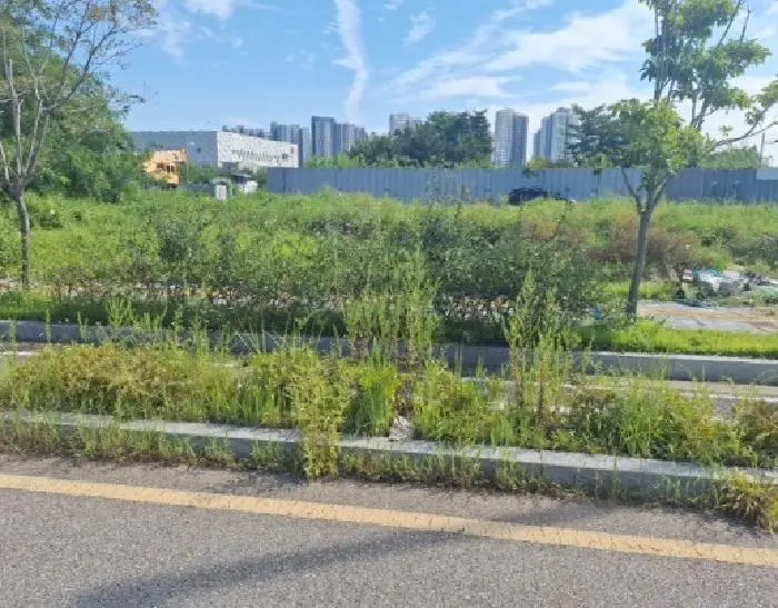 물건 사진 3