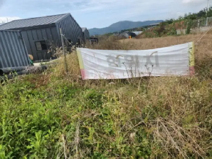 물건 사진 1