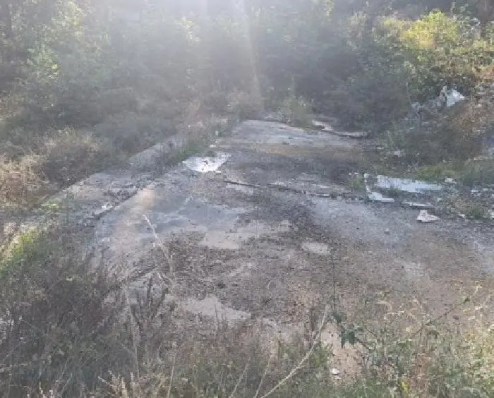 물건 사진 1