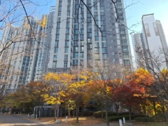 물건 사진 1