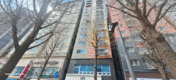 물건 사진 1